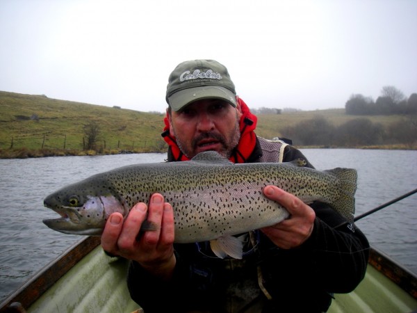 joli poisson d'Hervé