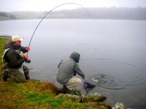 mise à l'épuisette par Marcel