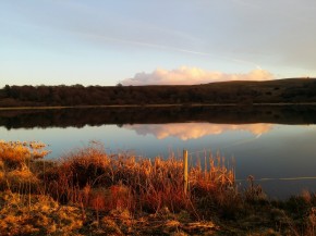 bel éclairage de Noel