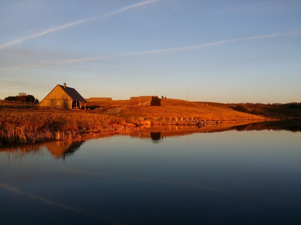 comme posé sur le lac